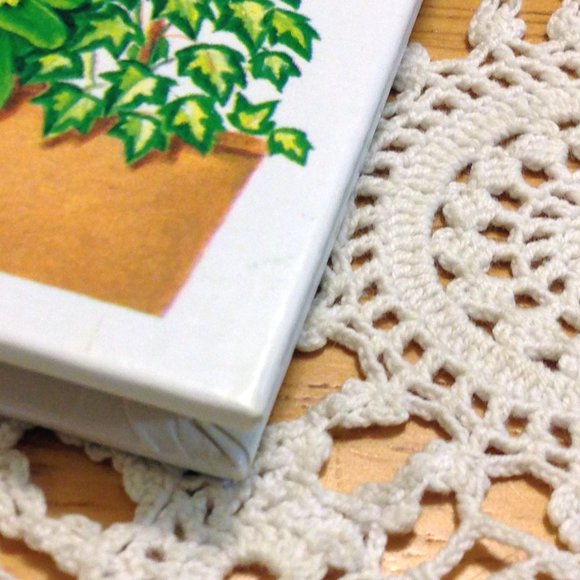 3 for $10 book sale! Vintage Gardening Book, Window Box & Balcony Plants - Picture 7 of 7